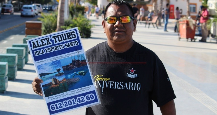 Reportan reducción de visitas al tiburón ballena en La Paz