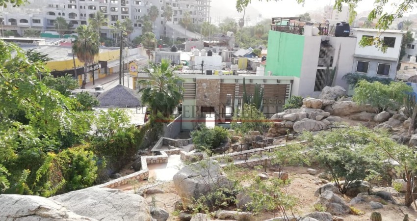 Proponen Centro de Artes Gráficas y Galería de Arte para el Cerrito del Timbre de CSL