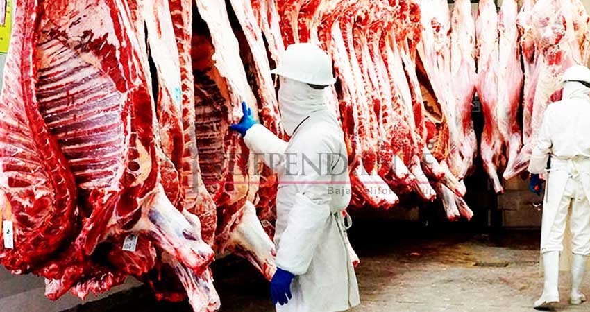 Importante que Rastro Municipal de La Paz amplíe su servicio de sacrificio: Comité de Protección Pecuaria