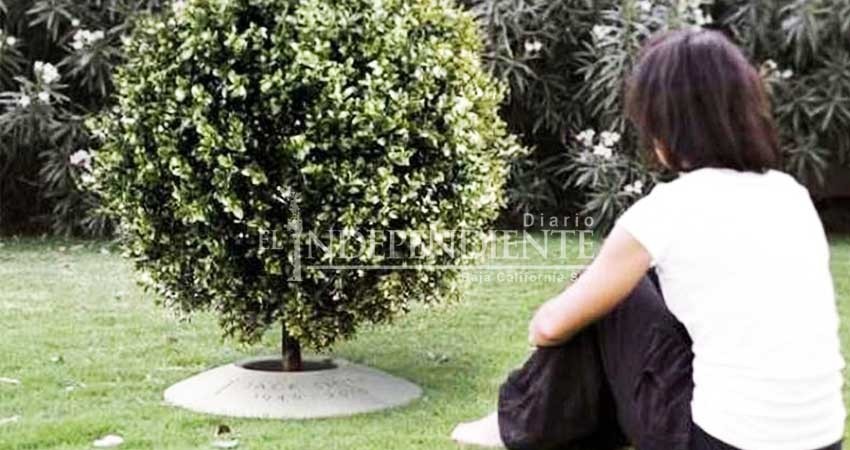 Tendrá La Paz el primer jardín ecológico hecho con cenizas de difuntos
