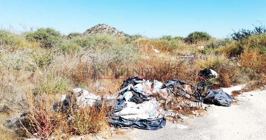 Castigarán a transportistas que dejen basura en zonas indebidas de CSL