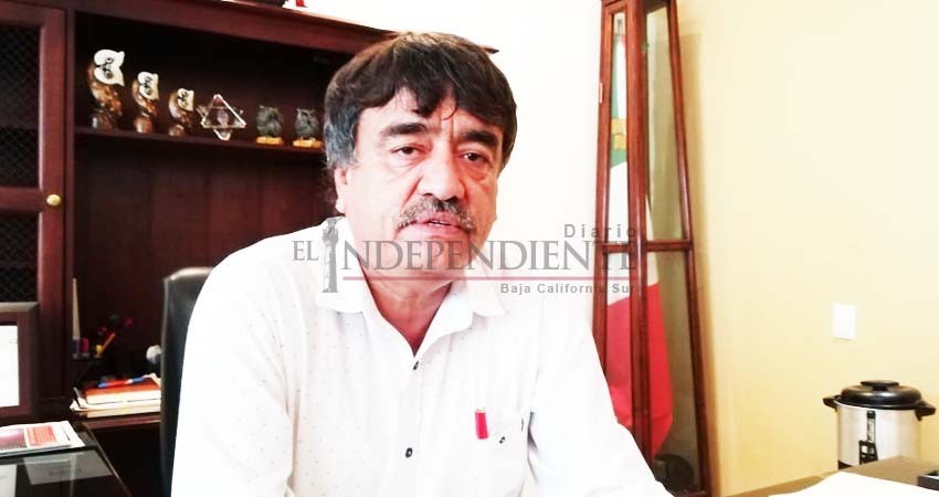 Pide Delegación de CSL no abandonar árboles navideños naturales en vía pública