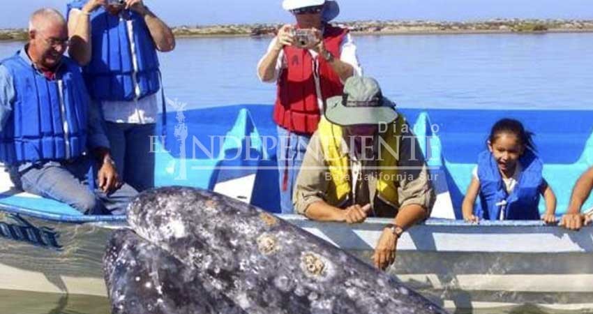 Listos los preparativos para el Festival de la Ballena en Puerto Chale