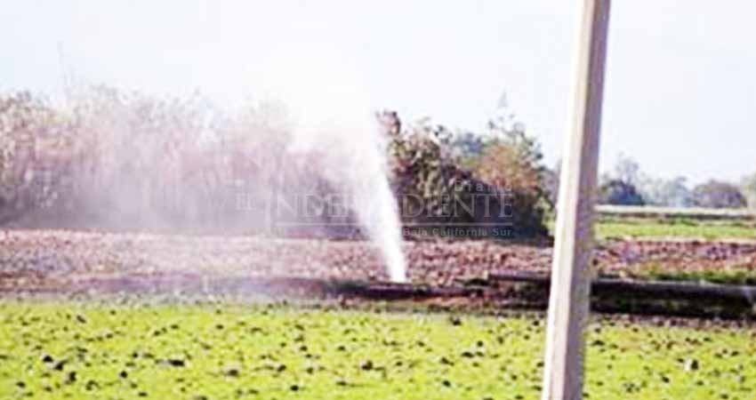 Los 7 estados con mayor ordeña: 80% de perforaciones ilegales