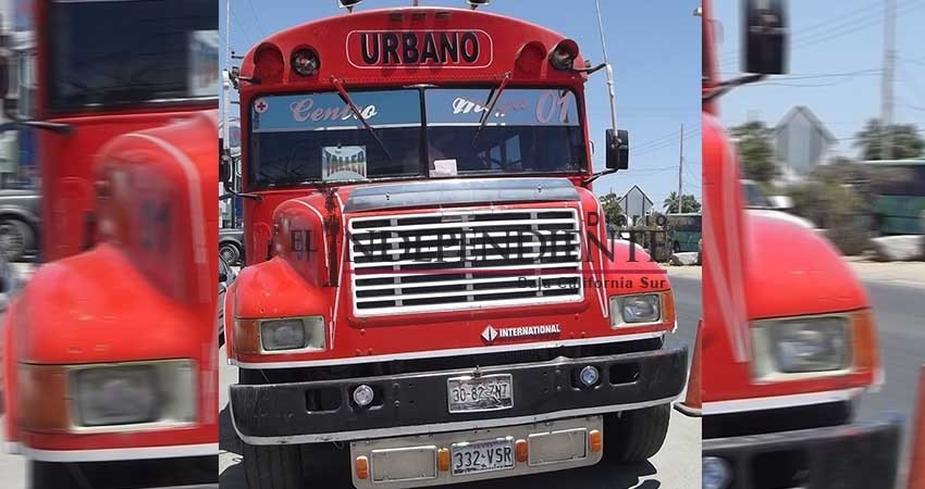 San José Viejo, La Ballena y Puerto Nuevo, colonias con mayor incidencia de robo al transporte público