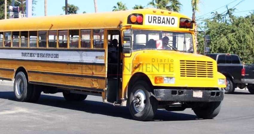 Rutas de transporte urbano extenderán sus horarios durante las Fiestas de SJC