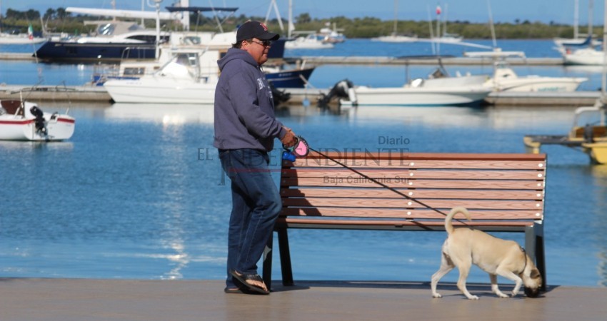 Fue presentada iniciativa en el Congreso para prohibir mascotas en malecones de BCS