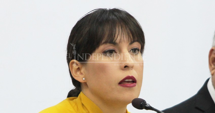 Pide diputada de Morena al Gobernador Mendoza que publique en el Boletín Oficial Zonas de Salvaguarda