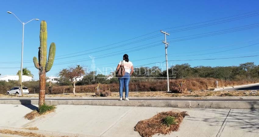 “Para cruzar la Carretera, tenemos que arriesgar la vida”: Sondeo Ciudadano