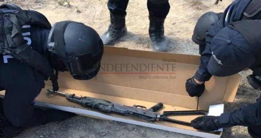 Localizan en Los Cabos un “Cuerno de Chivo” en una brecha en la colonia Monterreal