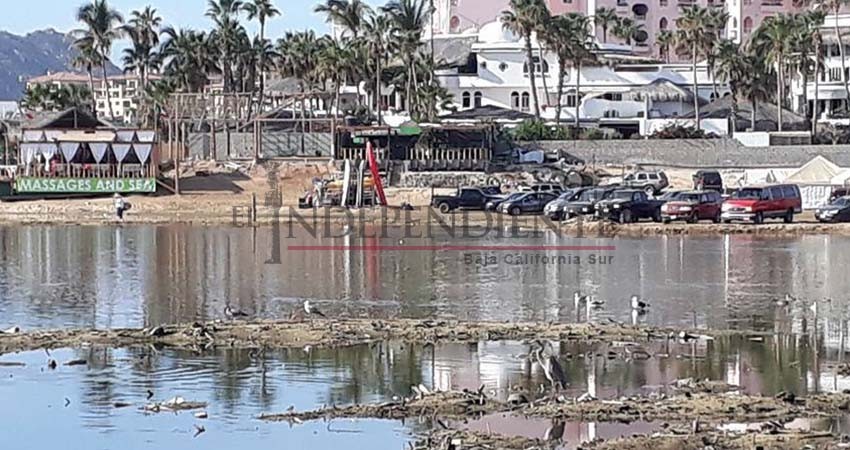 Más de 100 días han pasado desde que se solicitó a Ecología una visita al humedal CSL