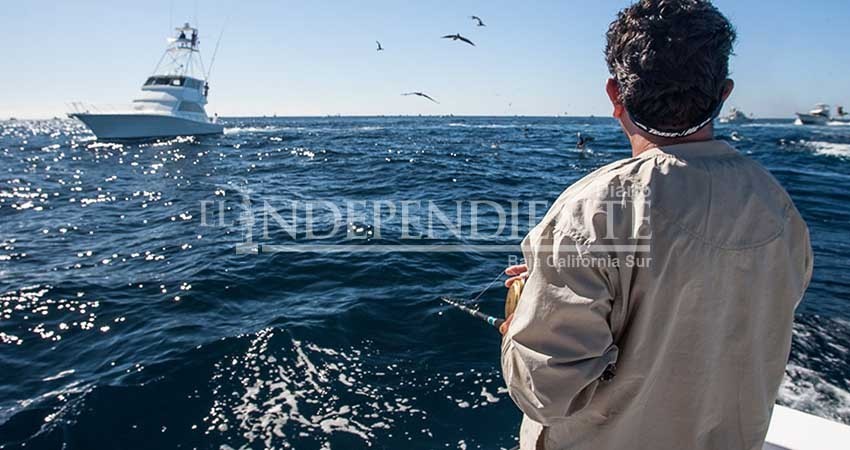 Hacen frente pescadores deportivos de Los Cabos para erradicar pesca ilegal de especies protegidas