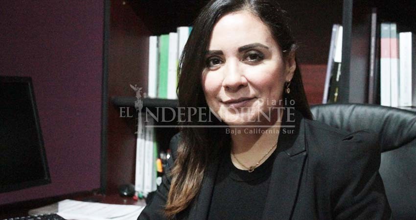 BCS es el estado con menor porcentaje de diputados por representación popular