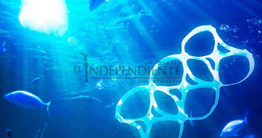 450 kilogramos de plástico fueron sacados del fondo marino de la bahía de CSL