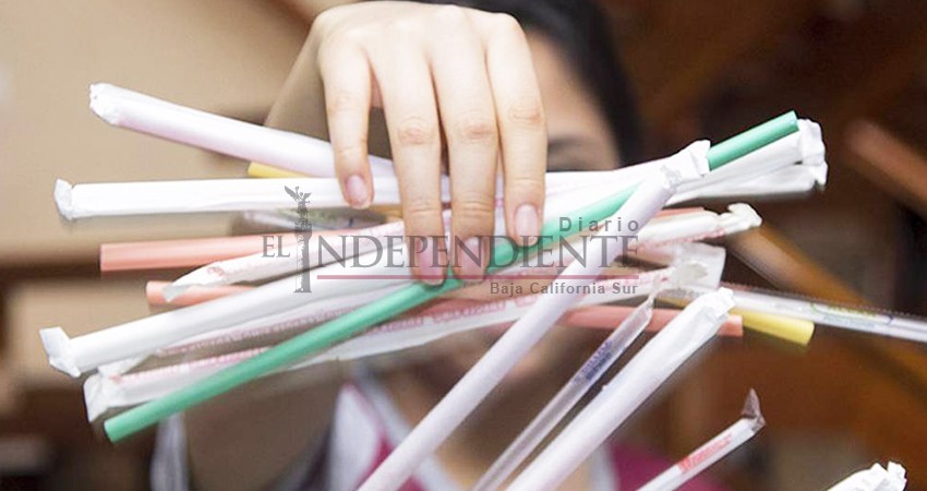 Canirac BCS solicita al Ayto. de Los Cabos, apoyarlos a difundir sobre ley antiplásticos