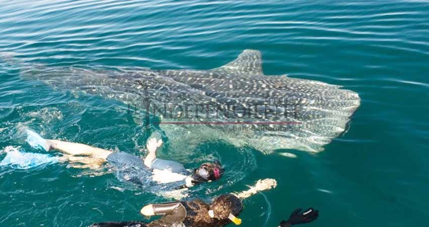 Fortalecerán a La Paz como principal destino turístico ecológico y de aventura en México