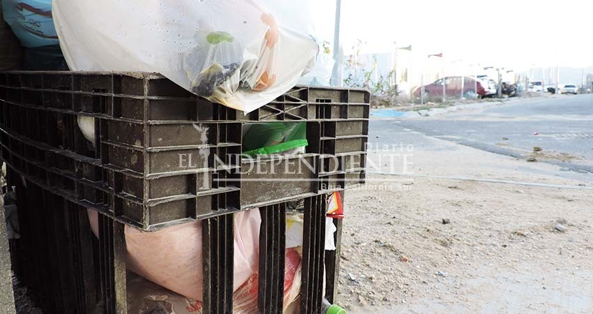 Se trabajará de manera habitual durante Semana Santa: Servicios Públicos Los Cabos