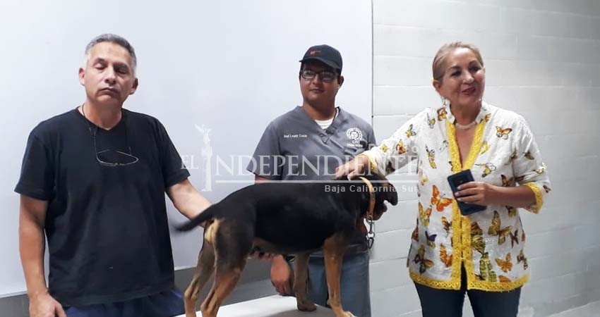 Este lunes 25 de marzo inicia la campaña antirrábica en La Paz