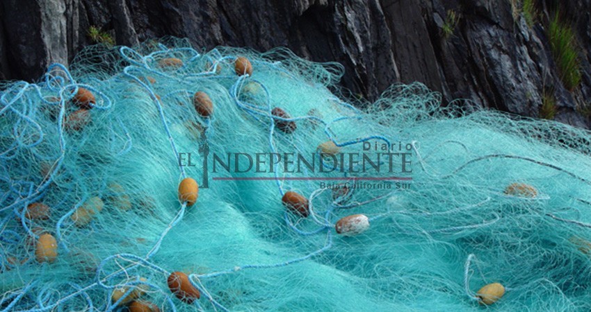 Pescadores molestos por la entrega de redes agalleras de parte del Ayto de Los Cabos