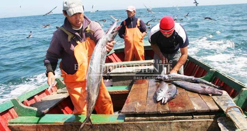 Espera SEPADA que CONAPESCA establezca presupuesto para BCS