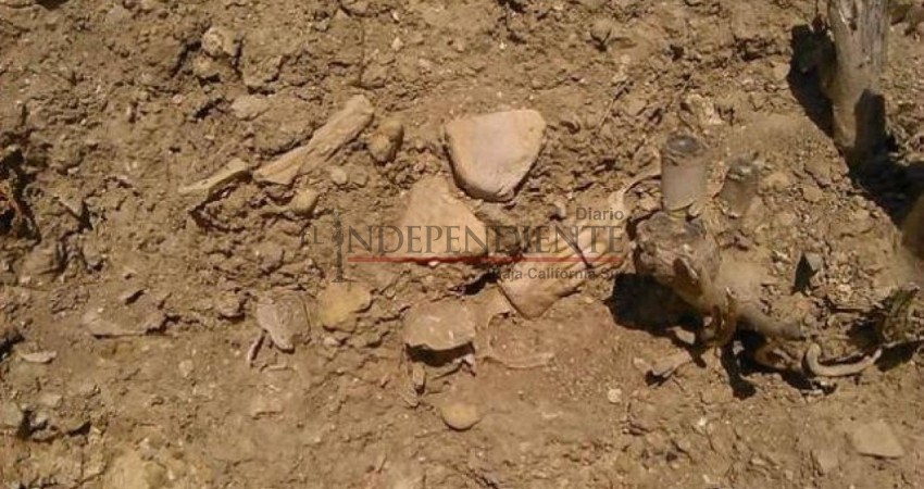Localizan restos óseos en el Valle Perdido, cerca del poblado del Rosario