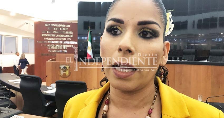 Ya esperábamos resolución que ratificó extinción del PES: Perla Flores