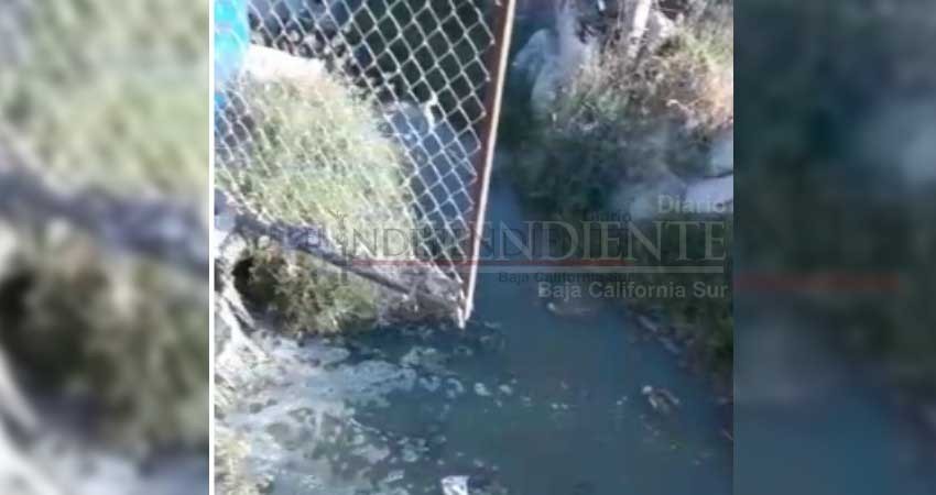 Peligra salud pública por derrames de aguas negras en Cabo San Lucas