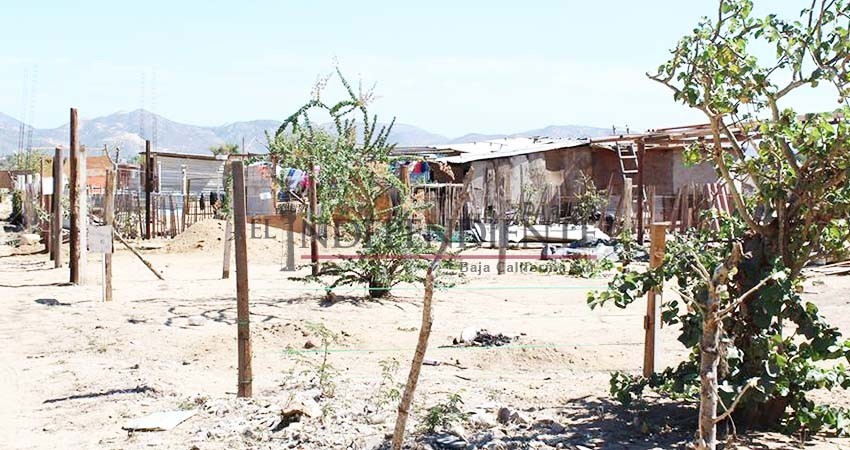 Hace Colegio de Arquitectos un llamado a autoridades para detener las invasiones