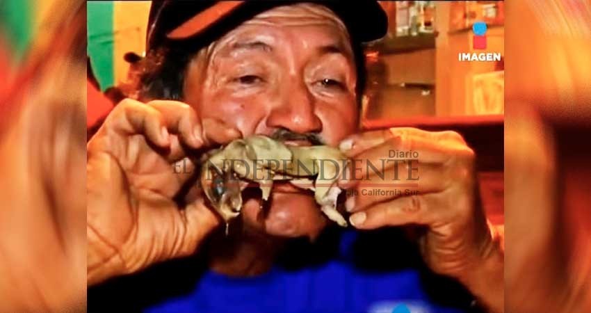 Para la anemia y la cruda… un caldo de rata