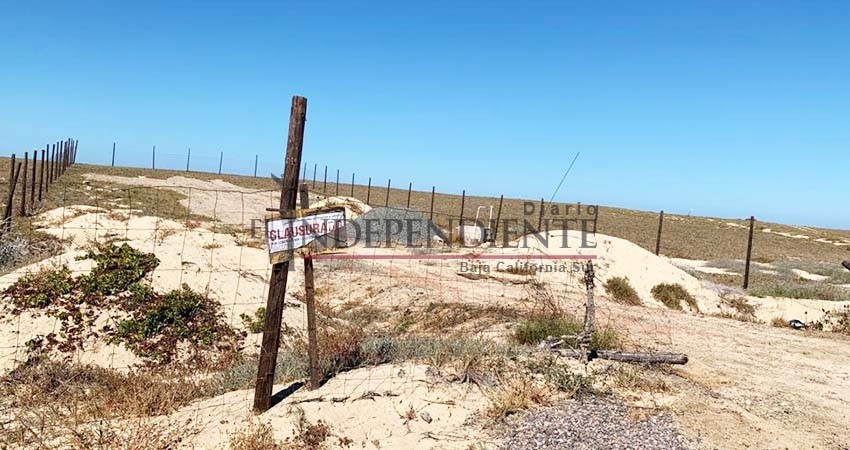 Destruyen dunas de Todos Santos para construir casa frente al mar