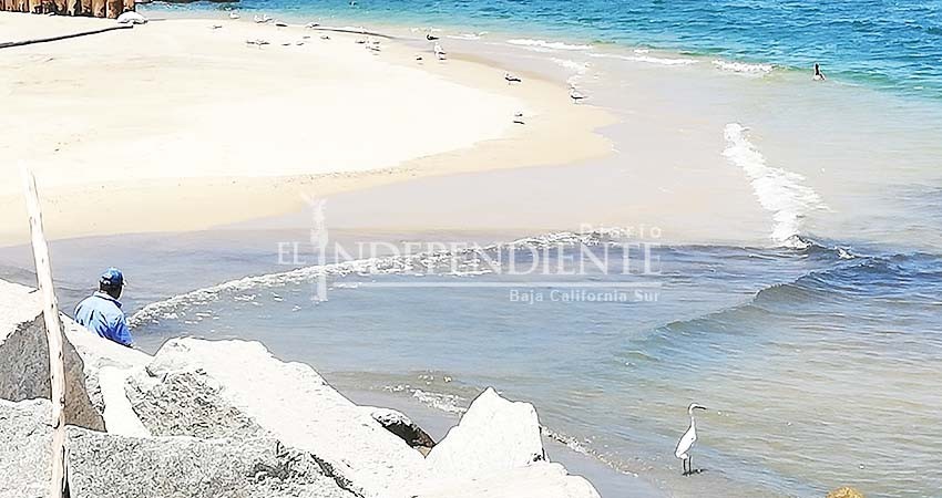 ¡Otra vez! Vuelven manchas oscuras al mar de la marina de CSL