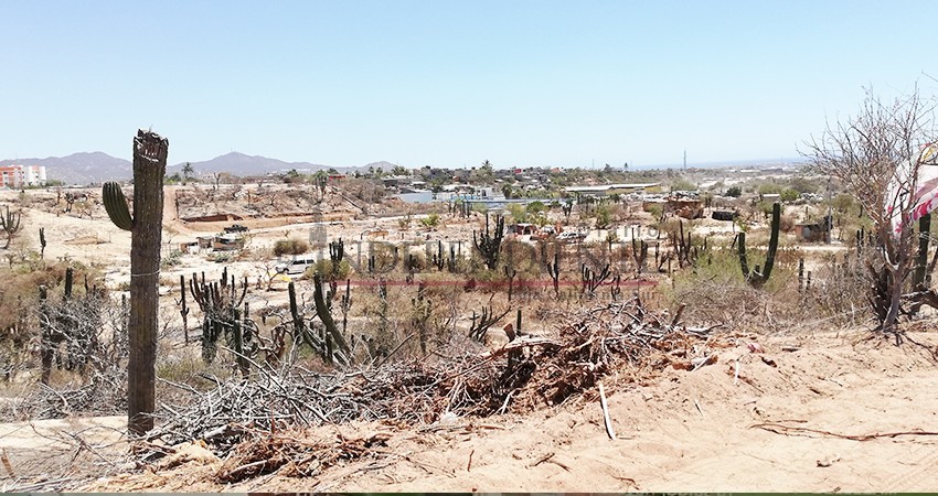 Más de 250 elementos de los tres órdenes de gobierno en vigilan Los Cabos por Semana Santa