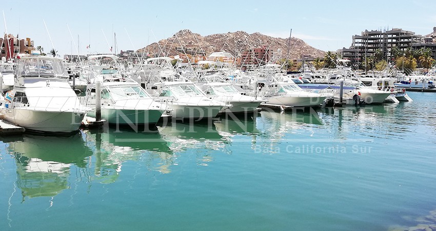 Advierte senadora de la necesidad de poner orden en litoral en BCS para preservar pesca deportiva