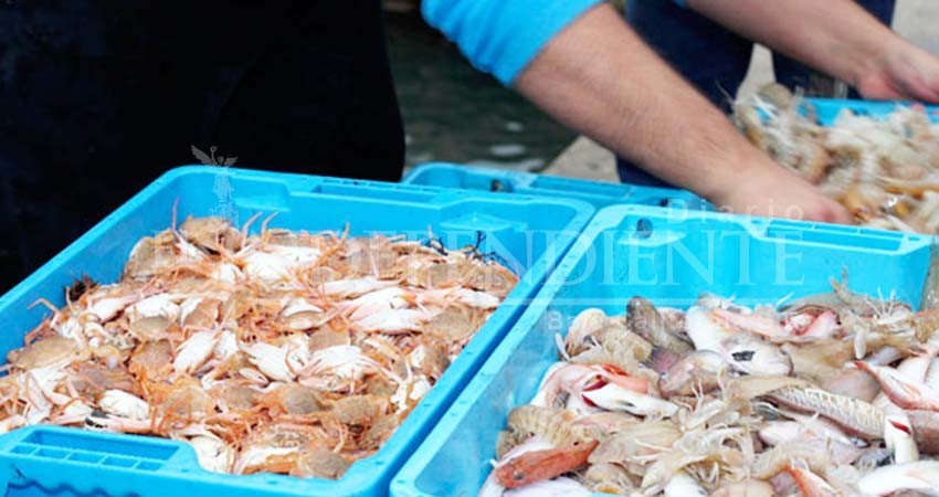 Coepris suspende dos puestos de mariscos  en Los Cabos y en La Paz