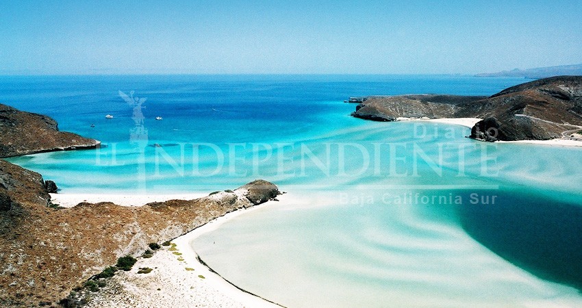 Se compromete Zofemat a limpiar diariamente las playas de La Paz