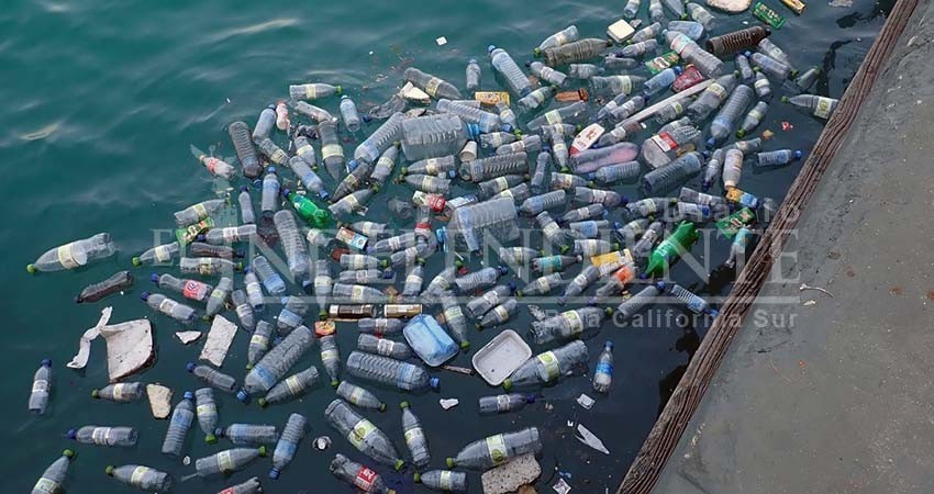 Todos los municipios de BCS deben adaptar sus reglamentos a ley antiplásticos: Canirac BCS