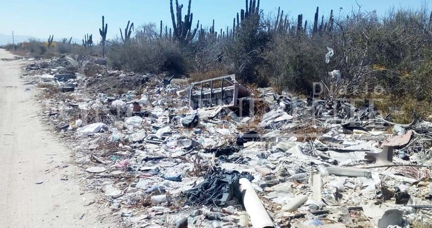 Escombros, basura y químicos amenazan manglares de Chametla y El Centenario