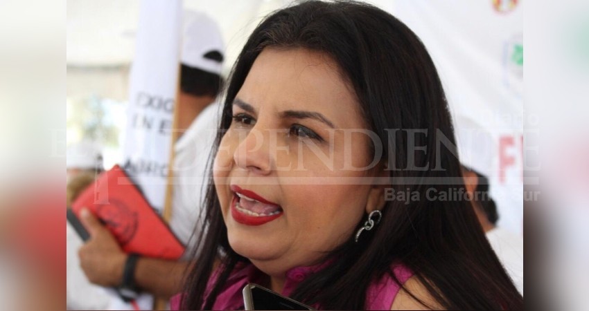 Denuncian penalmente a la alcaldesa Armida Castro