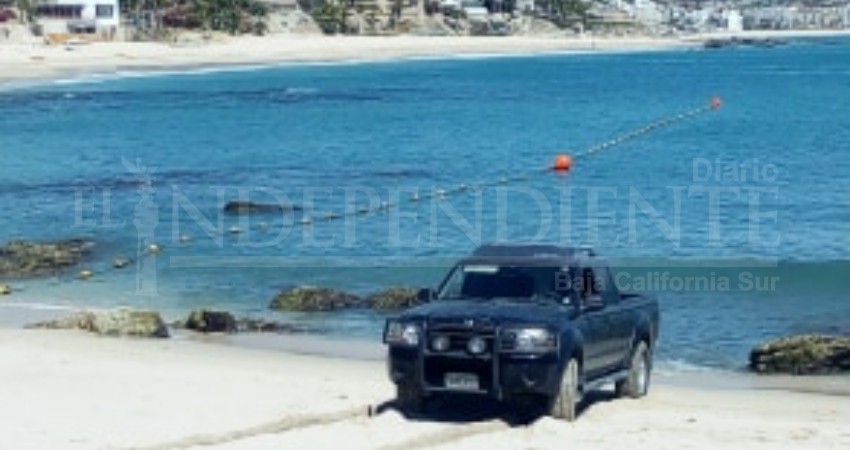 Red para Protección de la Tortuga Marina pide no ingresar vehículos a las playas