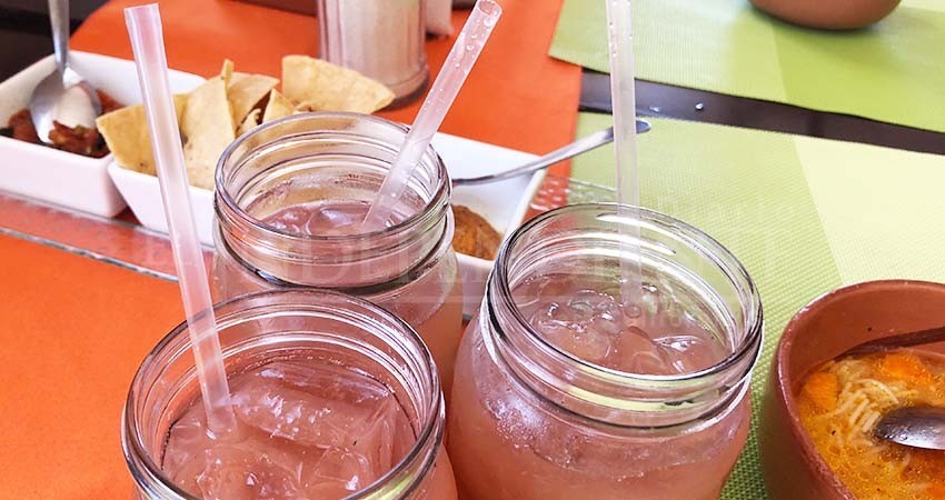 Canirac Los Cabos comienza campaña de concientización para el retiro de popotes y unicel