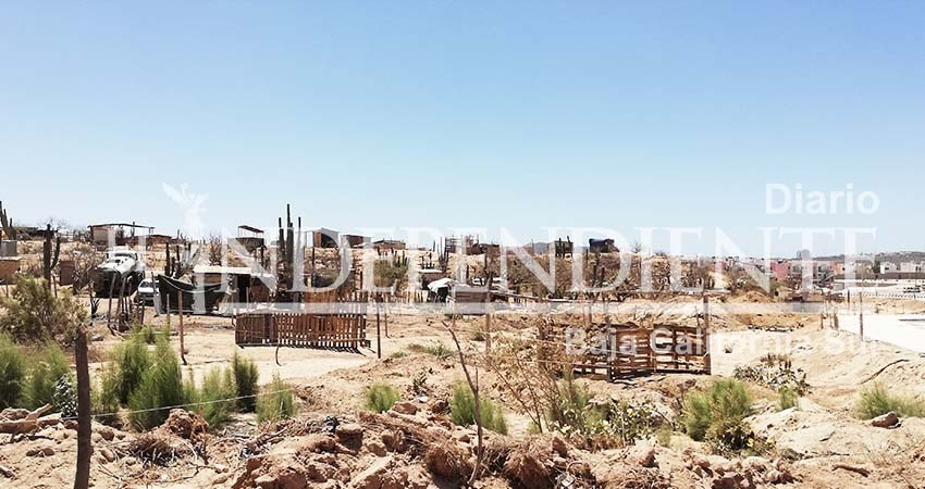 No hay mucho tiempo para reubicar asentamientos irregulares: Delegado de CSL