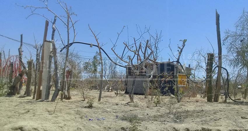 Denuncian ante la PGJE invasiones en el municipio de Los Cabos