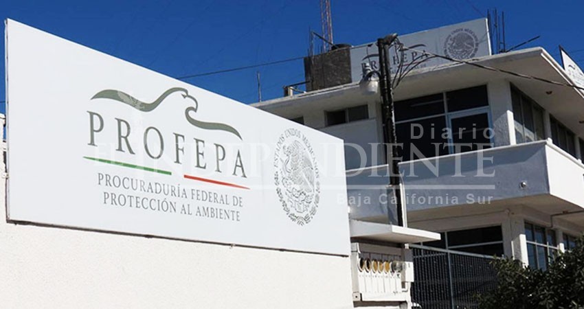 Destituyen a delegado de Profepa en BCS