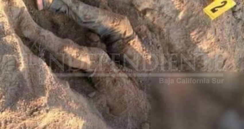 Colectivo -Sin Ellos No- localizó 3 cuerpos en dos fosas clandestinas