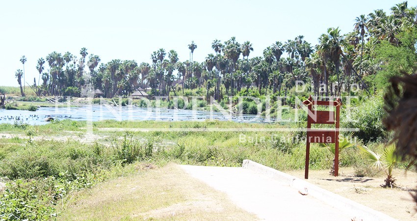 Postura del Gobierno del Estado sobre el estero es atender los reclamos de la sociedad: González Rivera