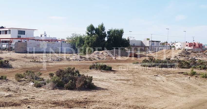 Hay claves catastrales en manglar del Conchalito, reveló Rubén Muñoz