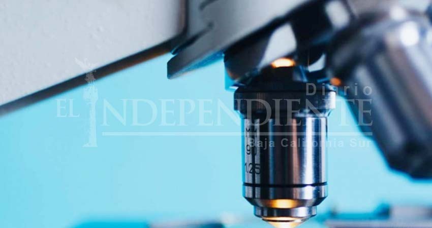 Mexicanos crean fórmula que protege hígado de pacientes con VIH