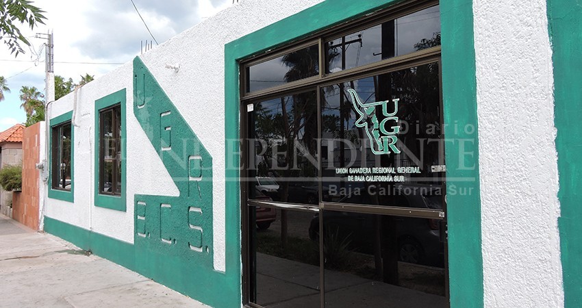 Ganaderos han perdido por años a falta de certificación de sanidad: Unión Ganadera