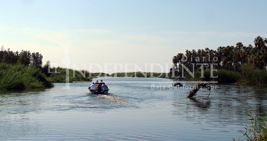 Última modificación al Plan de Manejo del Estero fue en 2005