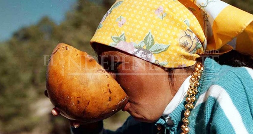 Desnutrición provoca muertes entre indígenas tarahumaras